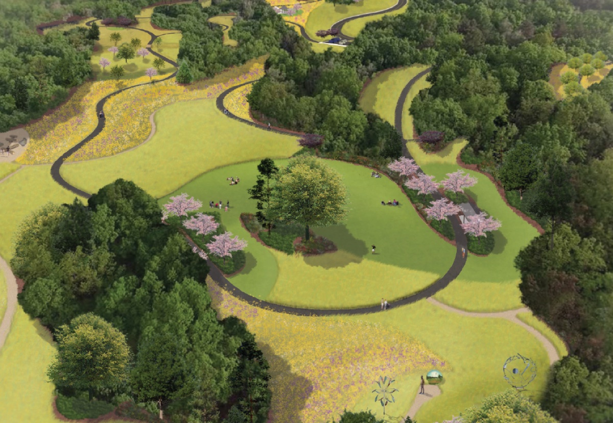 McAdams Meadowbrook Park Master Plan rendering